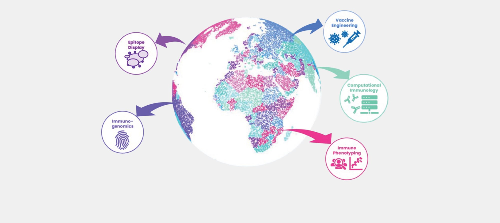 The Immunoglobe Initiative maps high-dimensional immune fingerprints, exemplified by clonal convergence, B-cell evolution, and transcriptional phenotypes, to reveal how the immune system develops across time and space