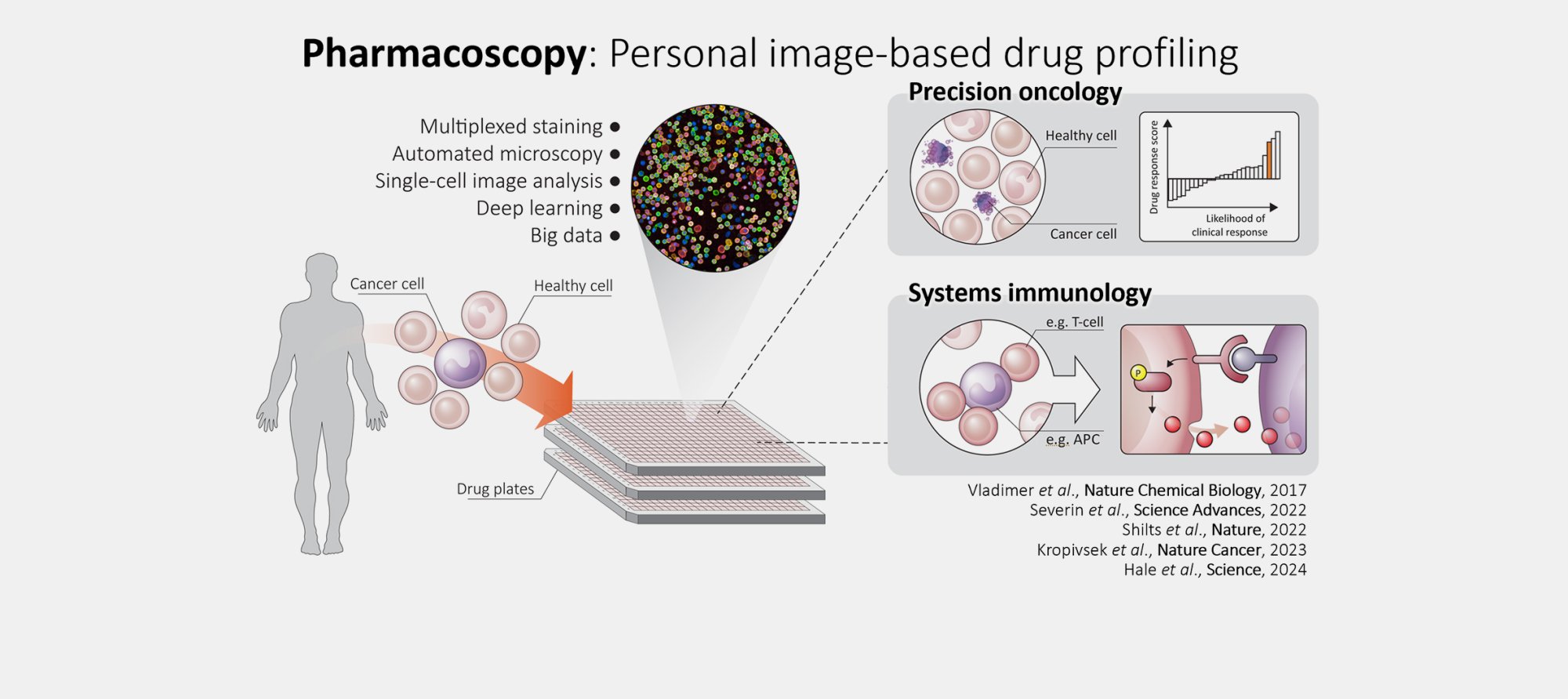 Pharmacoscopy workflow for personalized drug screening