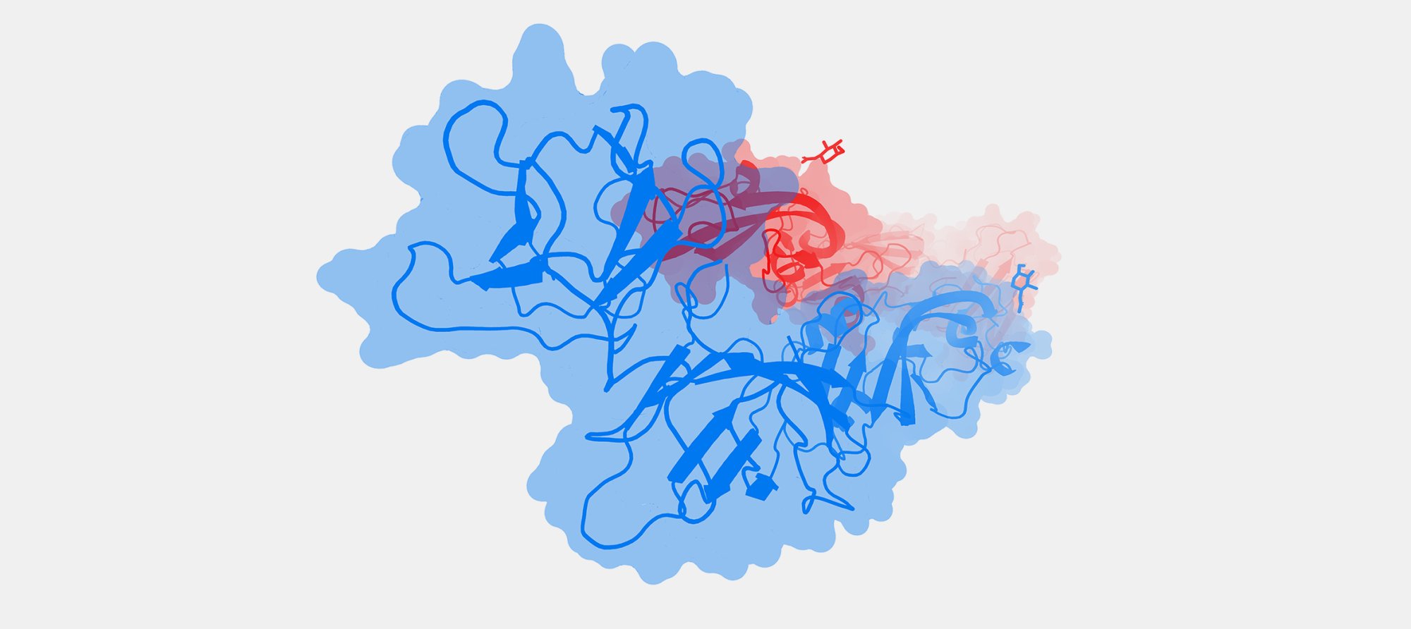 Model structure of the Dengue virus serotype 2 envelope (E) protein (PDB ID: 6WY1)